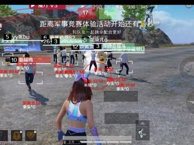 和平精英苹果定制辅助（和平精英苹果定制辅助的主要功能有哪些？）